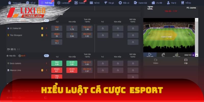 Hiểu luật cá cược Esport để bắt đầu trải nghiệm