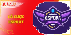 Cá cược Esport là môn hút khách bậc nhất tại Lixi88